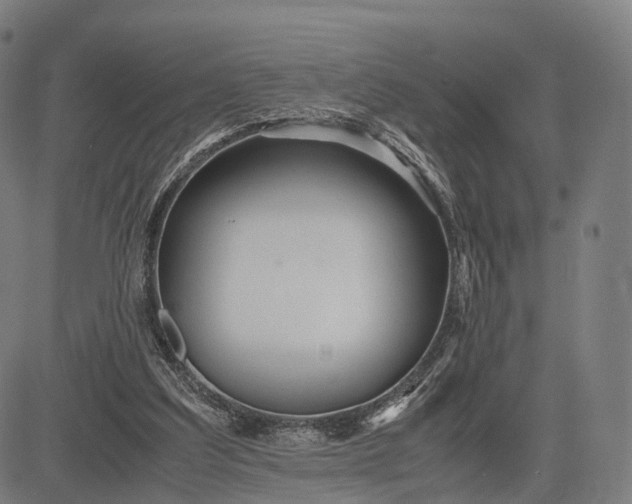 X0000083060203200702161805