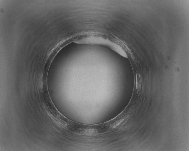 X0000083060204200702161805