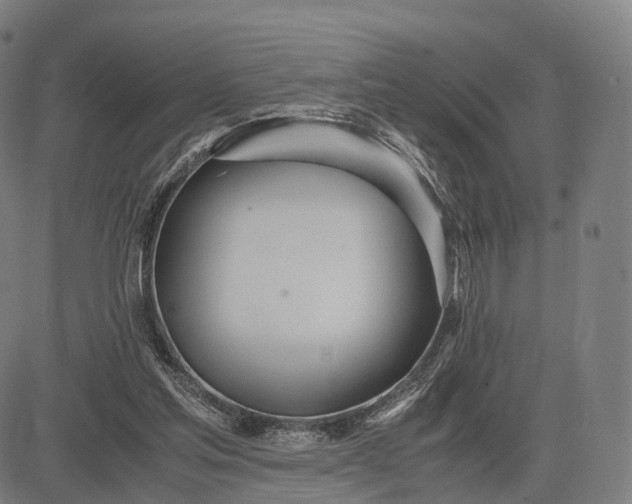 X0000083060205200702161805