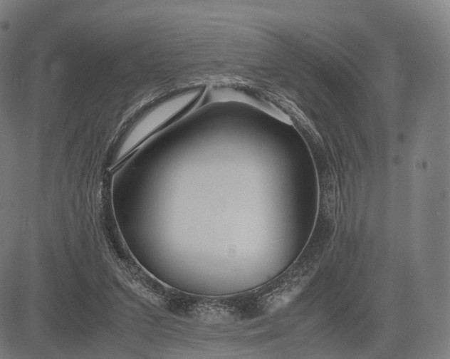 X0000083060207200702161805