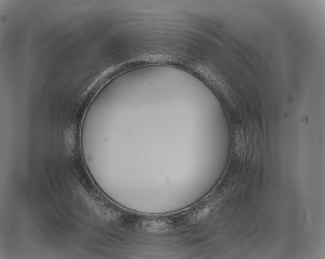 X0000083060208200702161805