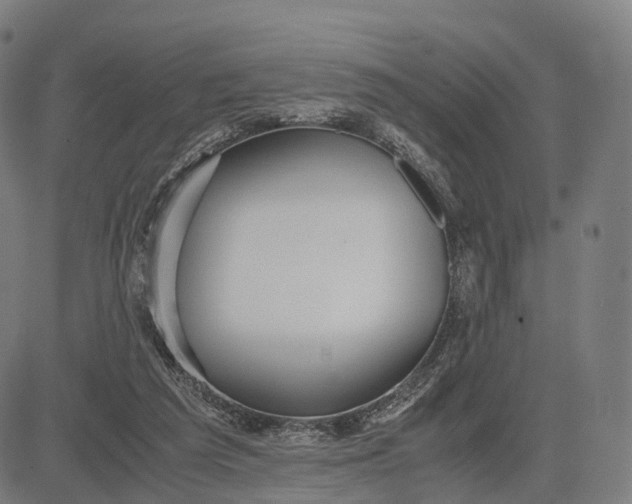 X0000083060209200702161805