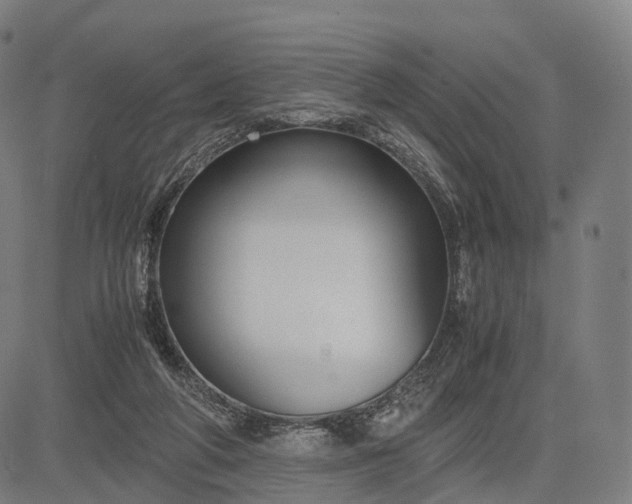 X0000083060210200702161805