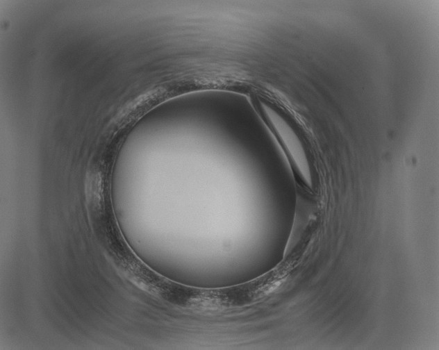 X0000083060211200702161805