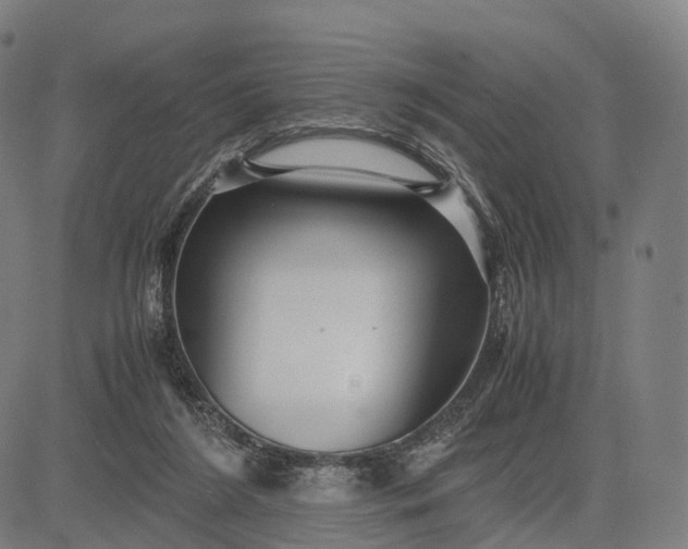 X0000083060212200702161805