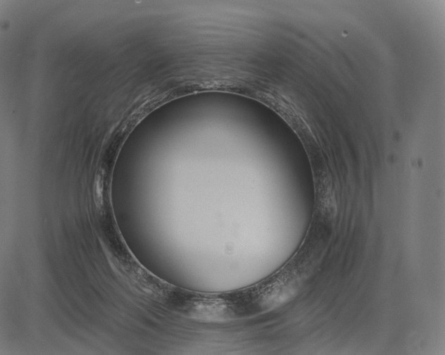 X0000083060214200702161805