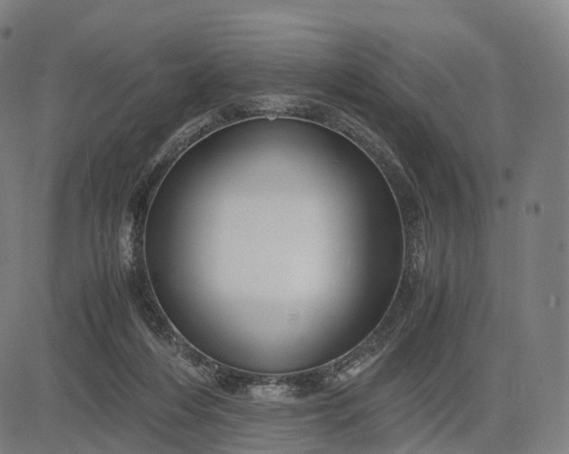 X0000083060216200702161805