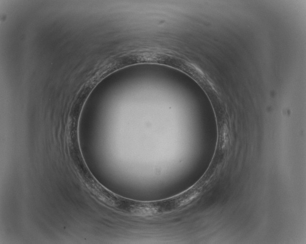 X0000083060217200702161804