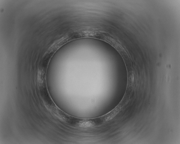 X0000083060218200702161804