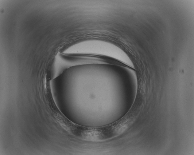 X0000083060219200702161804