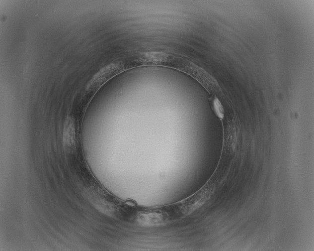 X0000083060220200702161804