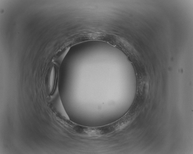 X0000083060221200702161804