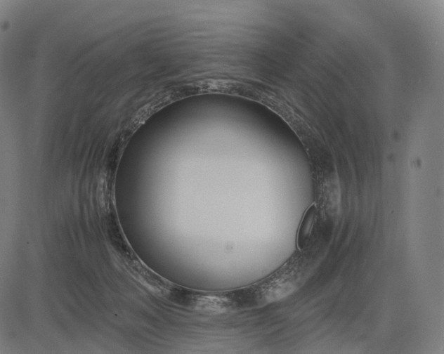 X0000083060222200702161804