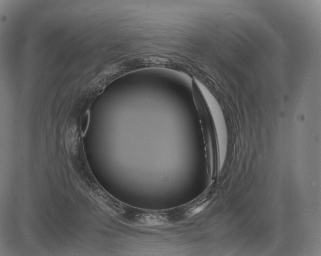 X0000083060223200702161804