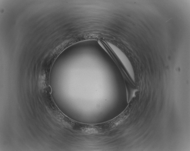 X0000083060224200702161804