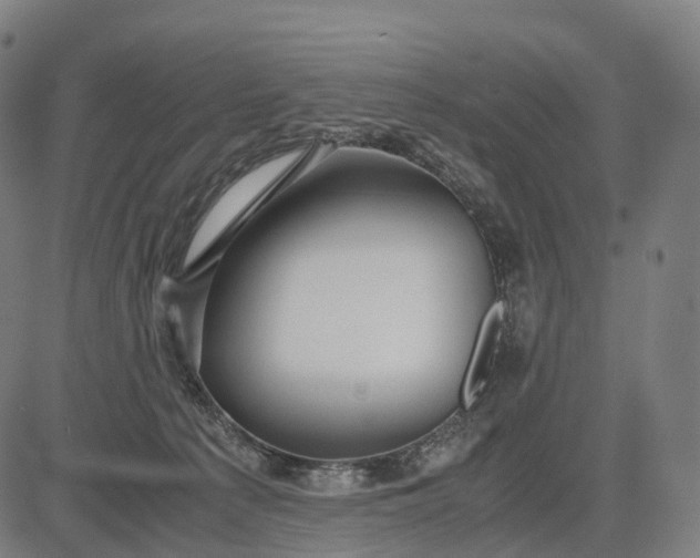 X0000083060225200702161804