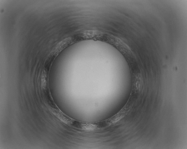 X0000083060226200702161804