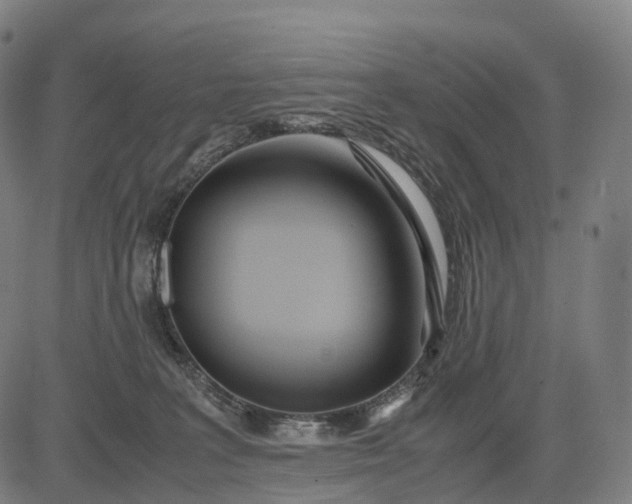 X0000083060227200702161804