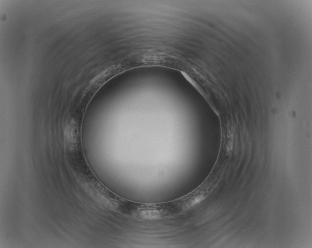 X0000083060228200702161804