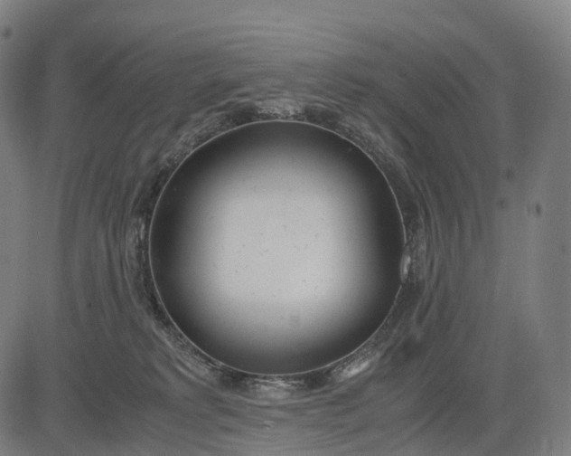 X0000083060229200702161804