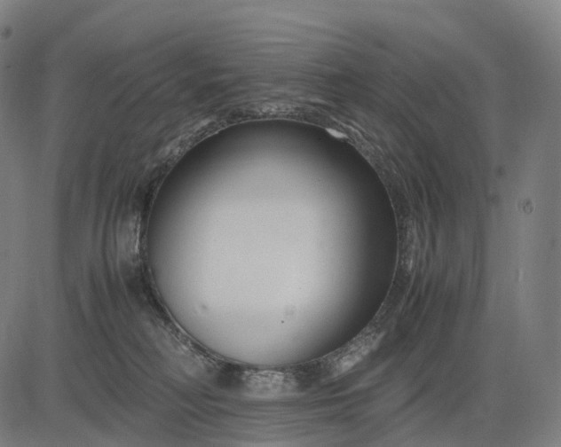 X0000083060230200702161804