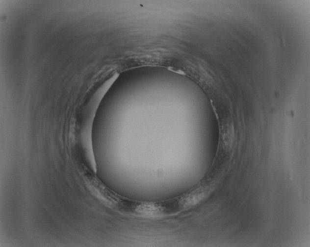 X0000083060231200702161804