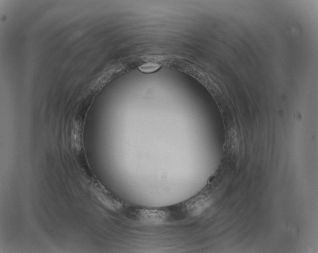 X0000083060234200702161804