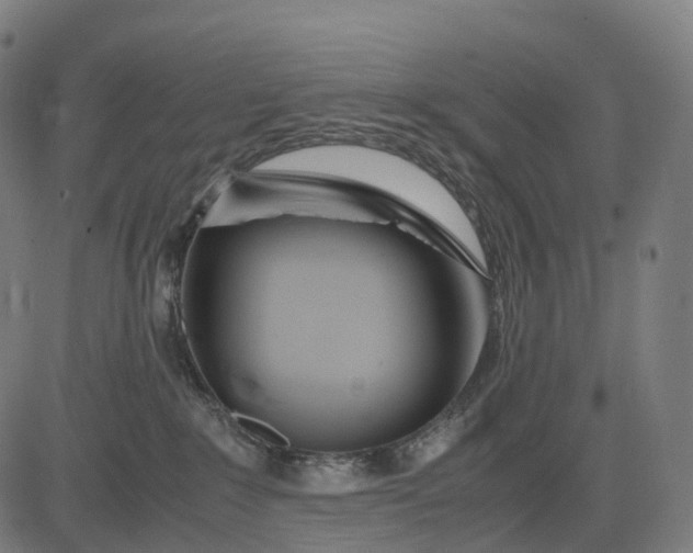 X0000083060235200702161804