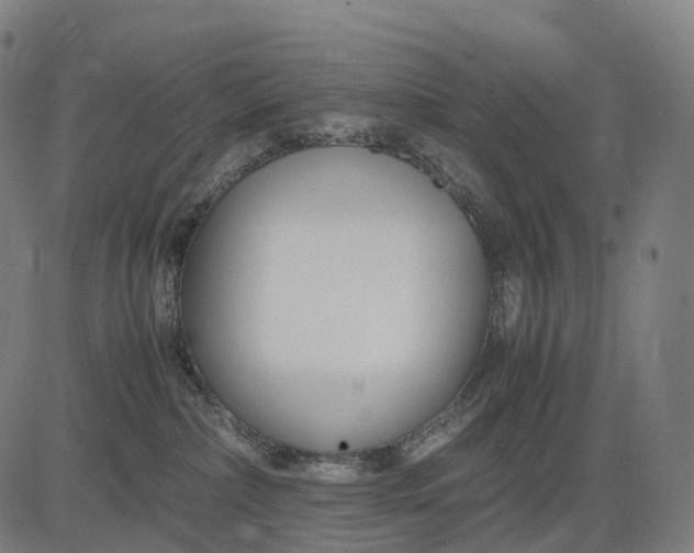 X0000083060236200702161804