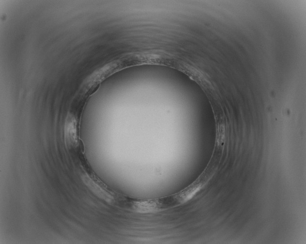 X0000083060238200702161804