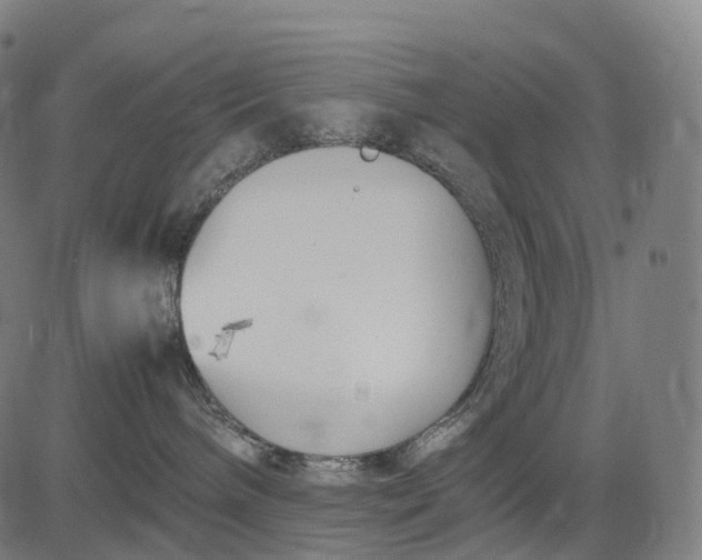 X0000083060240200702161804