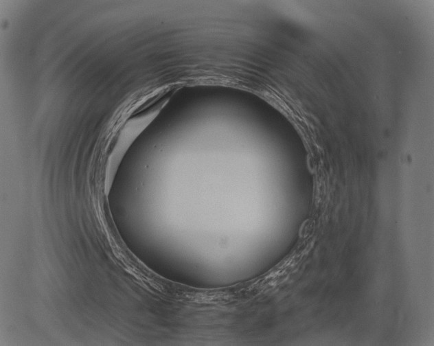 X0000083060241200702161803