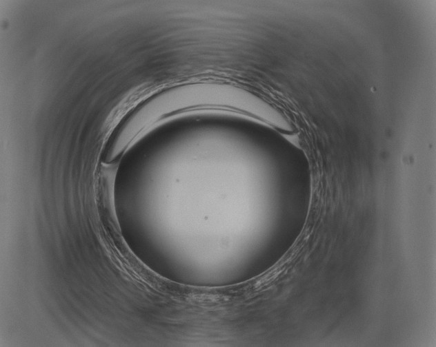 X0000083060242200702161803