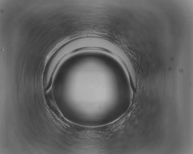 X0000083060244200702161803