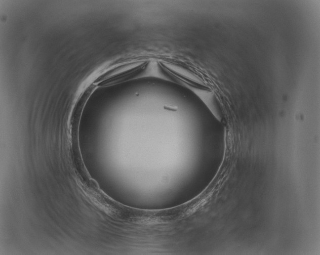 X0000083060246200702161803