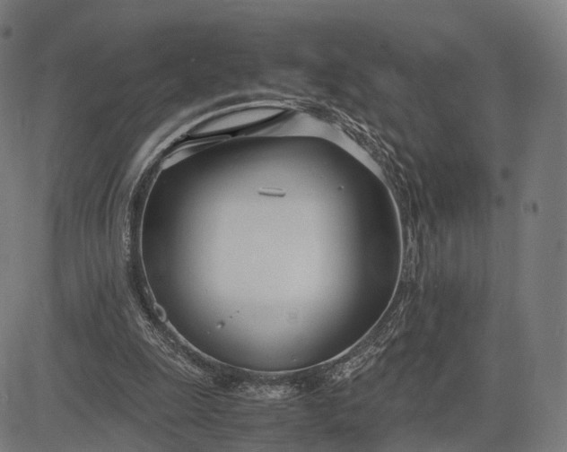 X0000083060247200702161803