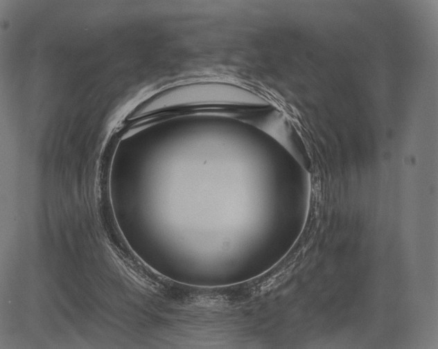 X0000083060248200702161803