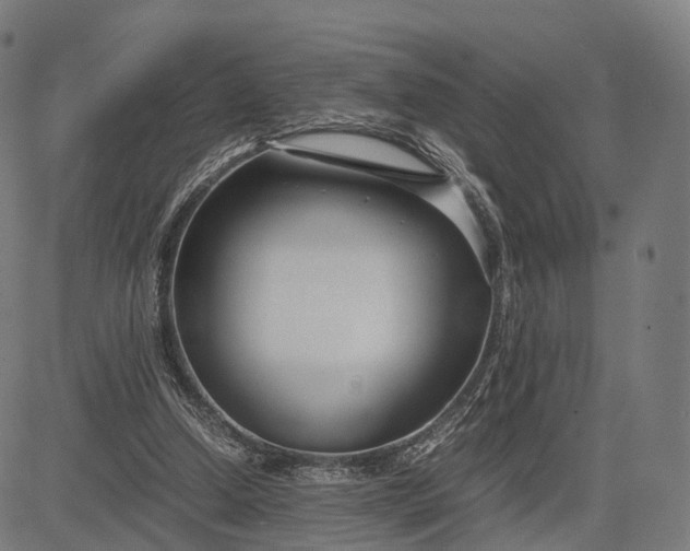 X0000083060250200702161803