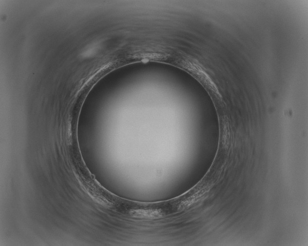 X0000083060251200702161804