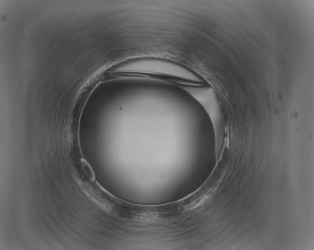 X0000083060252200702161804