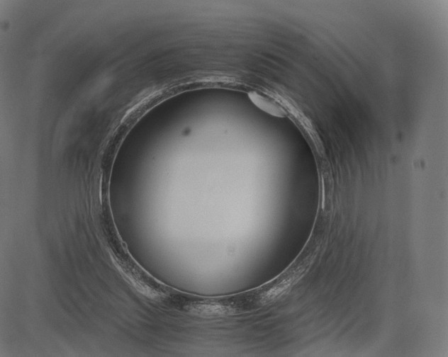 X0000083060253200702161804