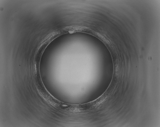 X0000083060254200702161804