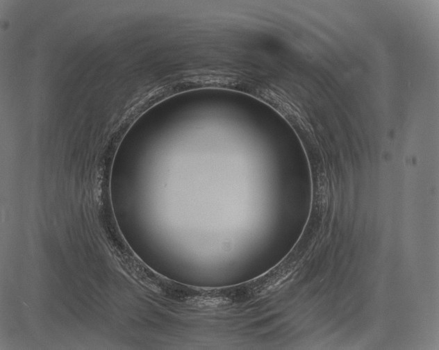 X0000083060255200702161804