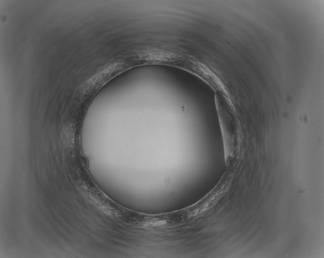 X0000083060257200702161804