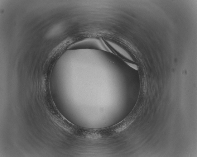 X0000083060258200702161804