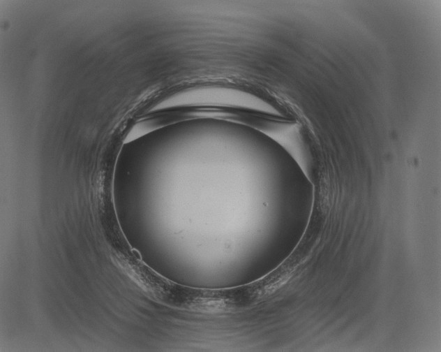 X0000083060260200702161804