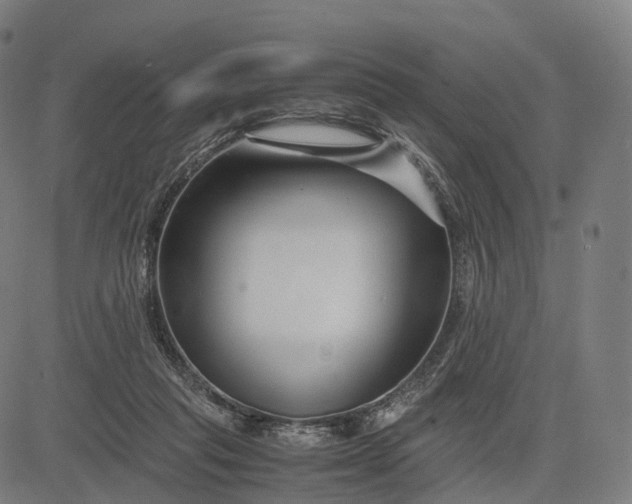 X0000083060261200702161804