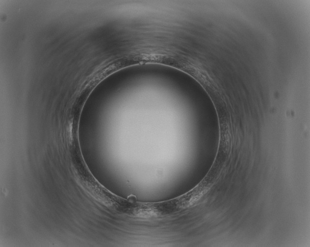 X0000083060262200702161804