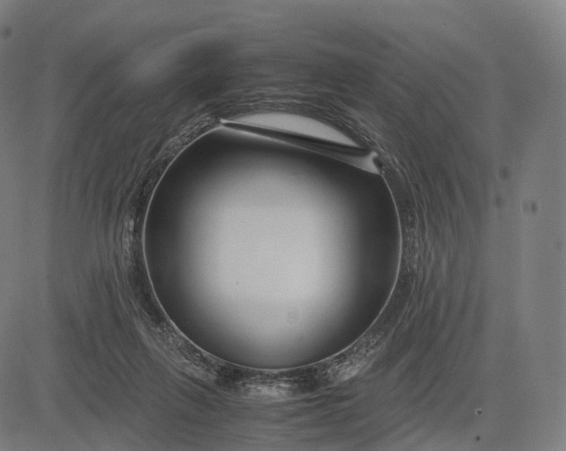 X0000083060263200702161804