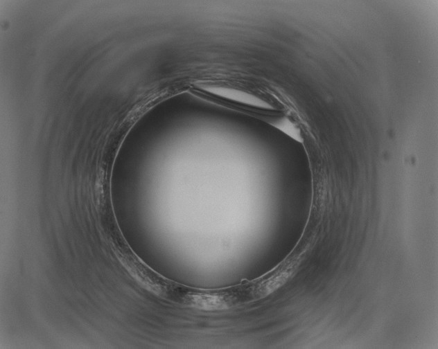 X0000083060265200702161804